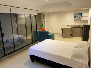 Aparta Estudio S101